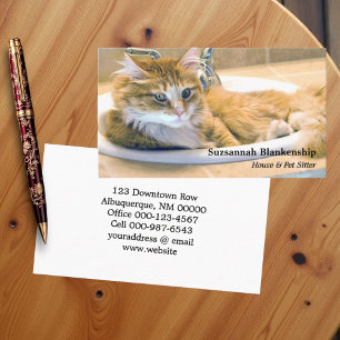 Replaceable Funny Cat in Sink Photograph Business Card