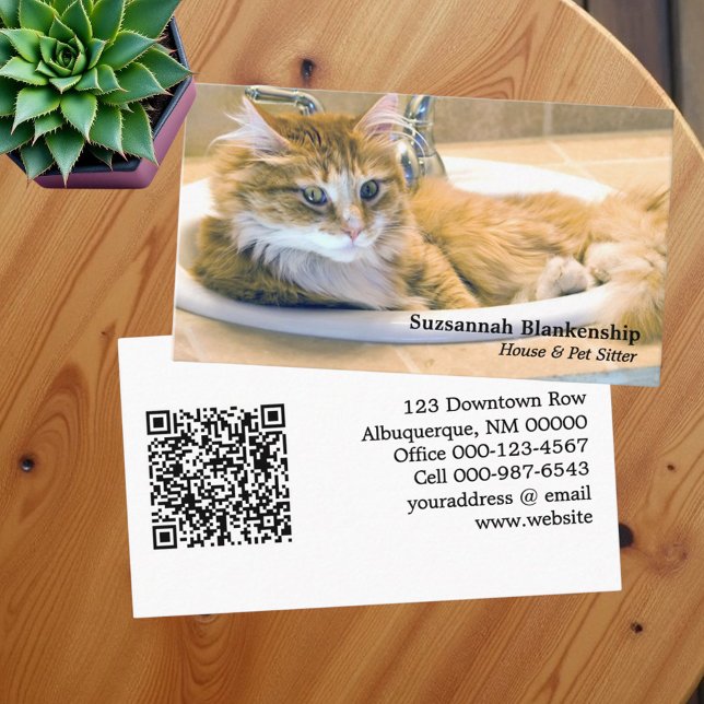 Replaceable Funny Cat in Sink Photograph & QR Code Business Card (Business card template with replaceable front photo and QR code on back)