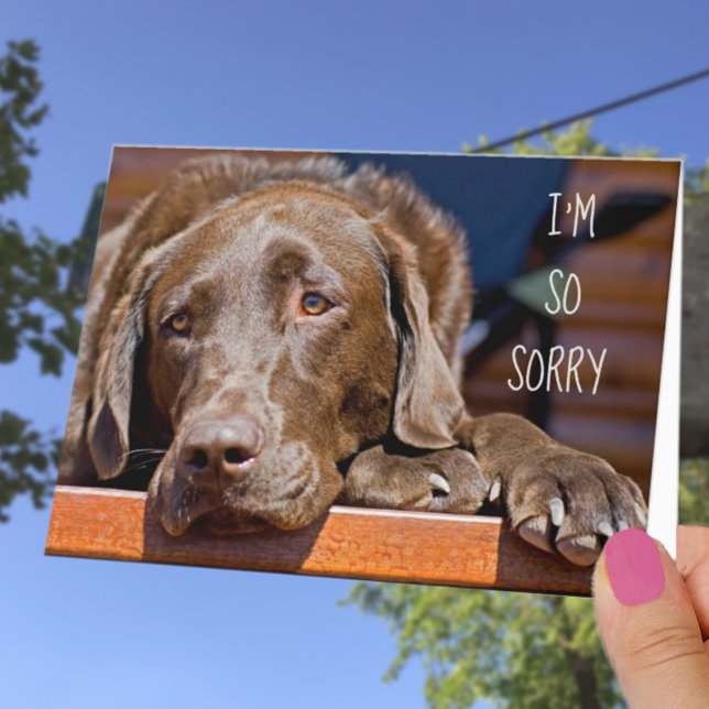 Replaceable Labrador Cover Photo Belated Birthday Card (Creator Uploaded)