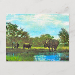 Replica  Vintage Rhinoceros, South African reserve Postcard
