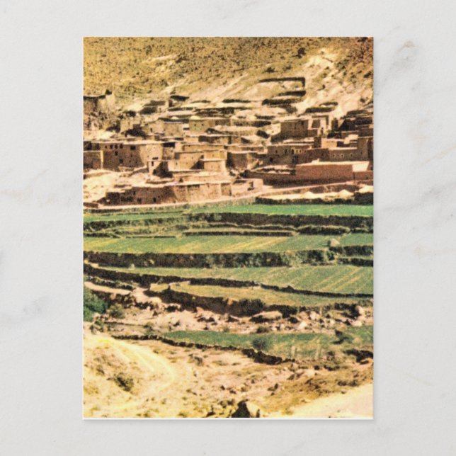 Replica  Vintage Terraces of Maize, Berber village Postcard (Front)