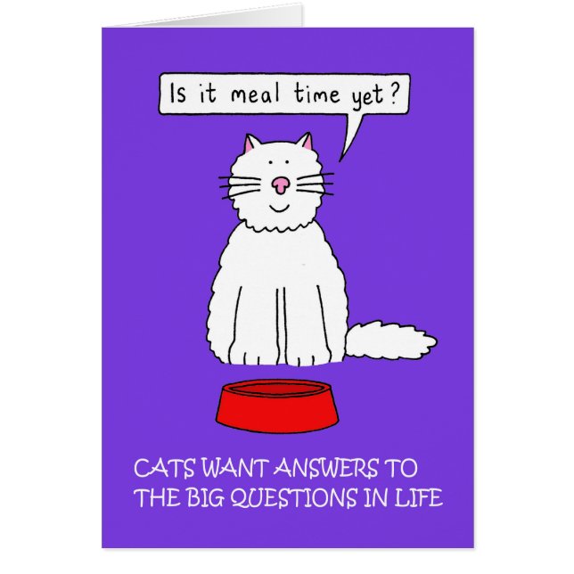 Répondre aux questions de votre chat Jour Janvier (Devant)