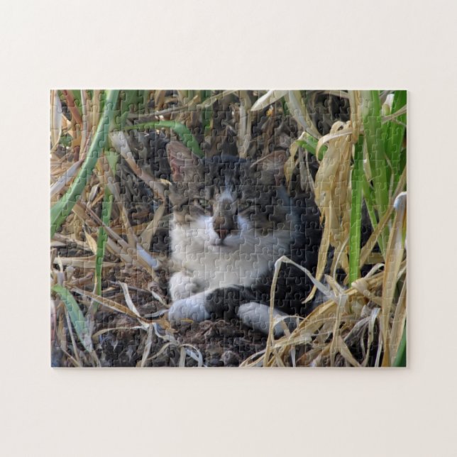 Repose de chats dans le puzzle Bushes (Horizontal)