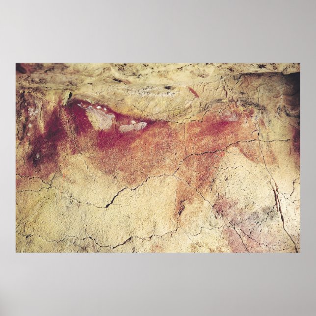 Representation of an animal, c.15000 BC Poster (Front)