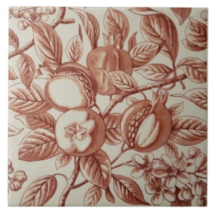 Repro Antique Pomegranate Botanical Art Kitchen Tile
