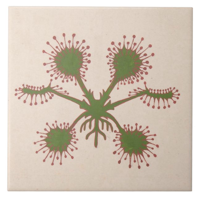 Repro Vintage Floral Print  Tile (Front)