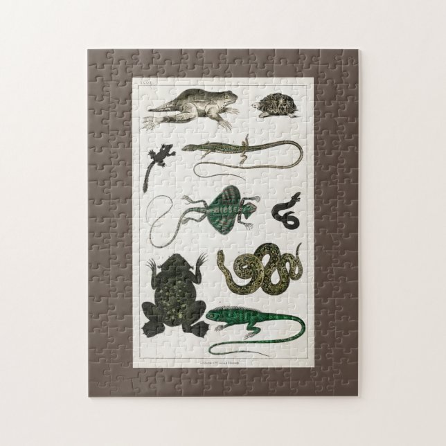 reptile, cute, lizard, animal, reptiles, turtle jigsaw puzzle (Vertical)