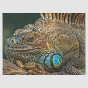 reptile lizard tissue paper