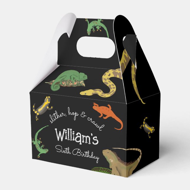 Reptile, Lizards & Amphibians Kids Birthday Favor Box (Front Side)