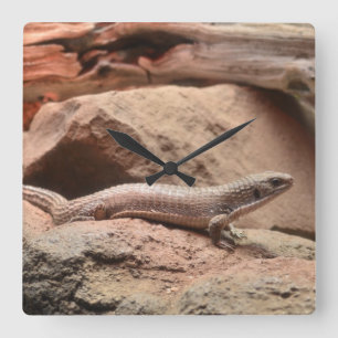 Reptile Northern blue-tongued skink Lizard Square Wall Clock