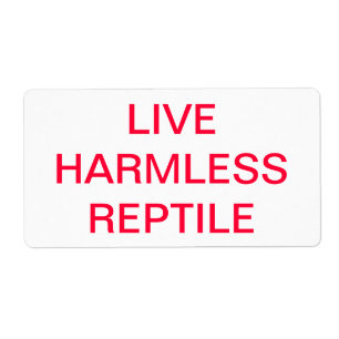 REPTILE VIVANT DE HERMLESS