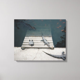 Reptiles Basking Canvas Print
