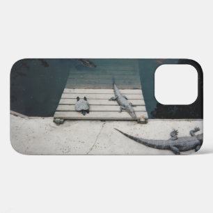 Reptiles Basking iPhone 12 Case