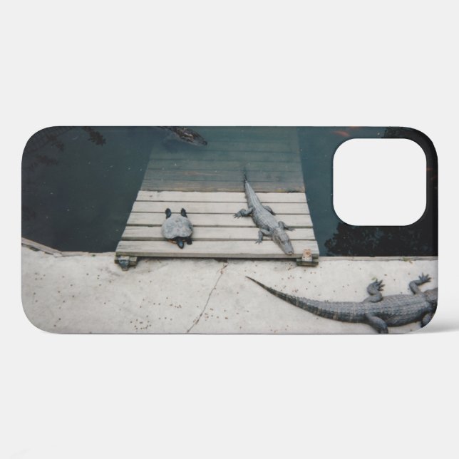 Reptiles Basking Case-Mate iPhone Case (Back (Horizontal))