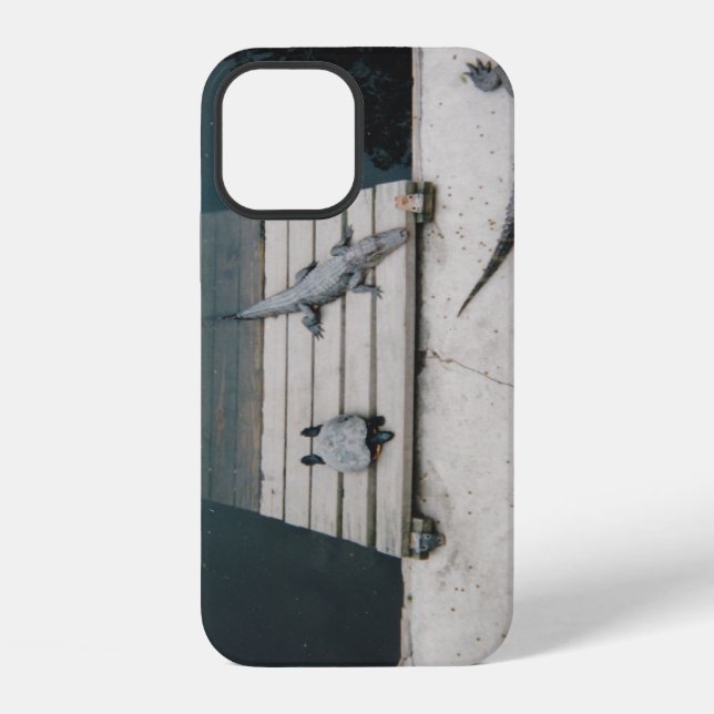 Reptiles Basking iPhone Case (Back)