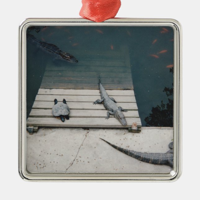 Reptiles Basking Metal Ornament (Front)