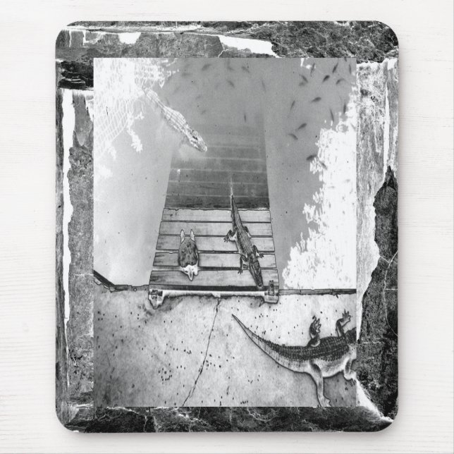 Reptiles Basking Mouse Pad (Front)