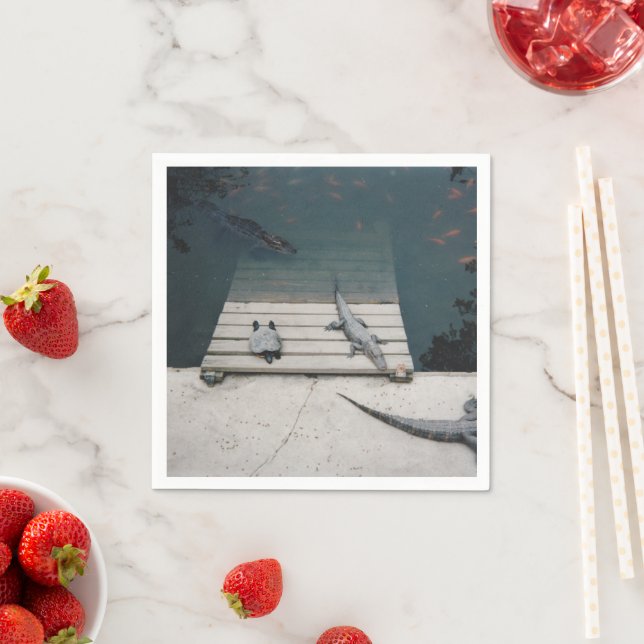 Reptiles Basking Napkin (Insitu)