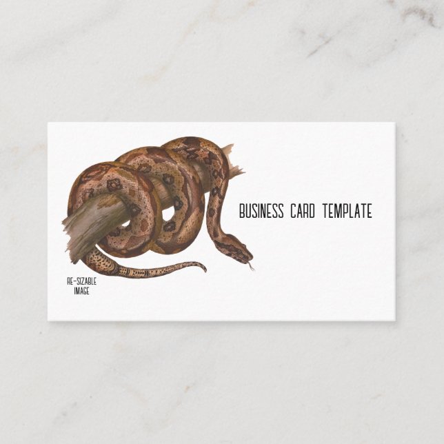 Reptiles Boa Constrictor Carte de visite de serpen (Devant)