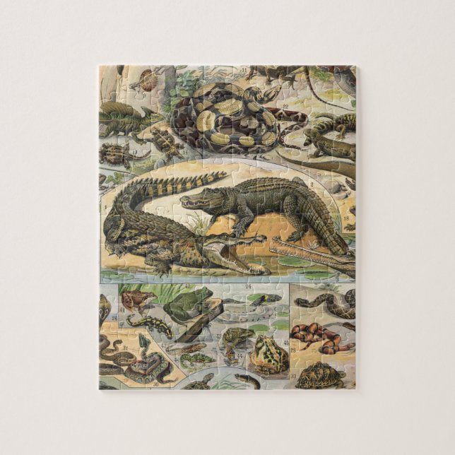 Reptiles Jigsaw Puzzle (Vertical)