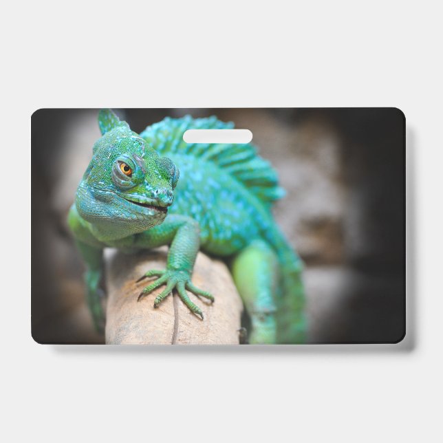reptiles, nature, lizards badge (Front)