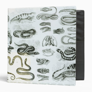 Reptiles, Serpents and Lizards Binder