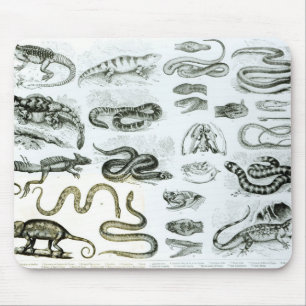Reptiles, Serpents and Lizards Mouse Pad