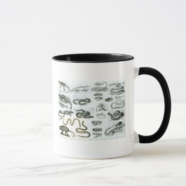 Reptiles, Serpents and Lizards Mug (Right)