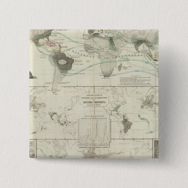 Reptilia, Ophidia 2 Inch Square Button (Front)