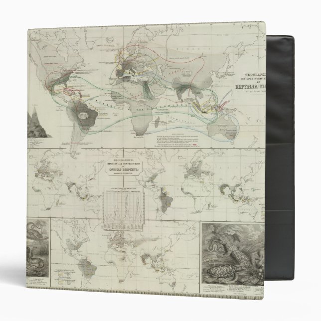 Reptilia, Ophidia Binder (Front/Inside)