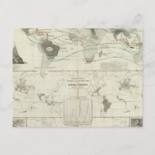 Reptilia, Ophidia Postcard