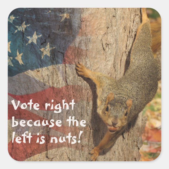 Republican Vote Right Squirrel Square Sticker (Front)