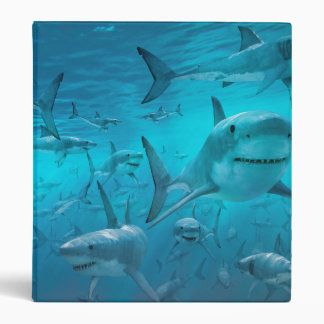 requin 3 anneau classeur
