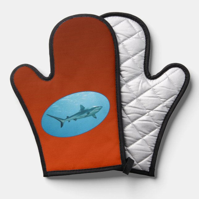 Requin des récifs gris, île de Yap - Conception ph (Recto/Verso)