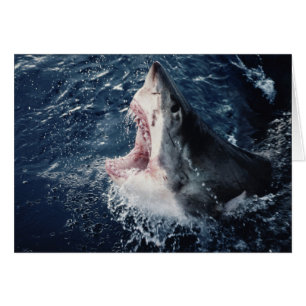 Requin élevé bouche ouverte