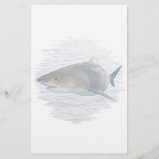 Requin en papeterie de l'eau (Devant)