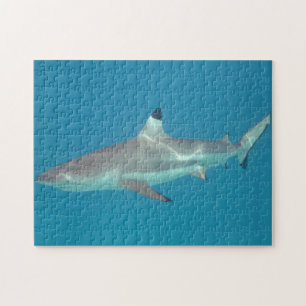 Requin nageant le puzzle sous-marin