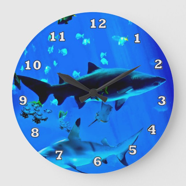 Requins à pointe noire grande horloge (Recto)