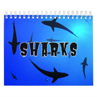 Requins Collection Showcase Wall Calendrier