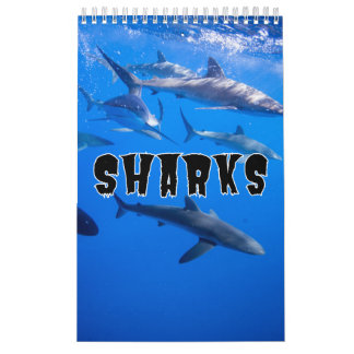 Requins Collection Showcase Wall Calendrier