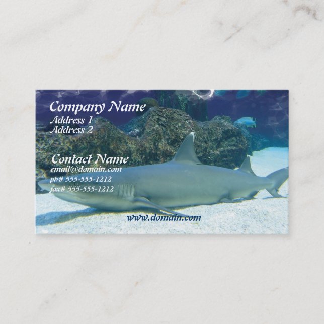 Requins dans le carte de visite de récif coralien (Devant)