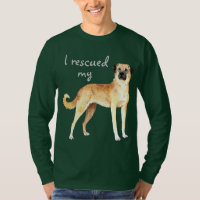 Rescue Anatolian Shepherd