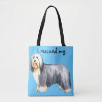 Rescue Bearded Collie