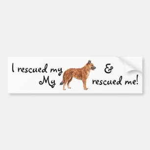 Rescue Belgian Laekenois Bumper Sticker