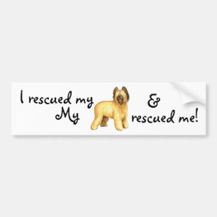 Rescue Briard Bumper Sticker