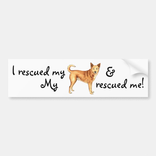 Rescue Canaan Dog Bumper Sticker (Front)