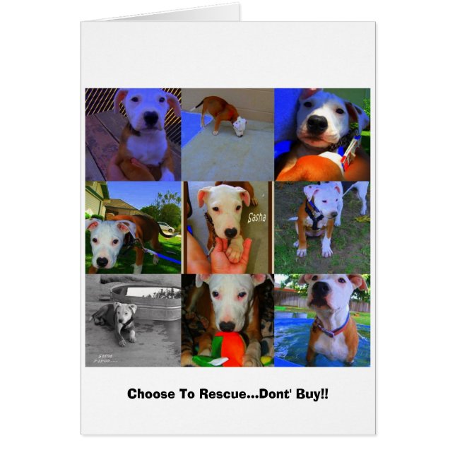 Rescue Cards.. (Front)