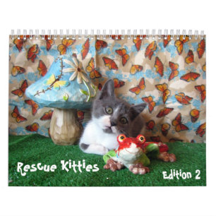 Rescue Cat Calendar - Edition 2