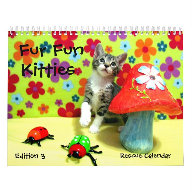 Rescue Cat Calendar -- Edition 3 (Cover)