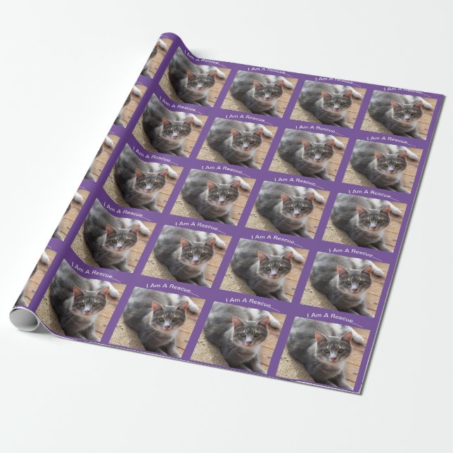 Rescue Cat Gift Wrapping Paper (Unrolled)